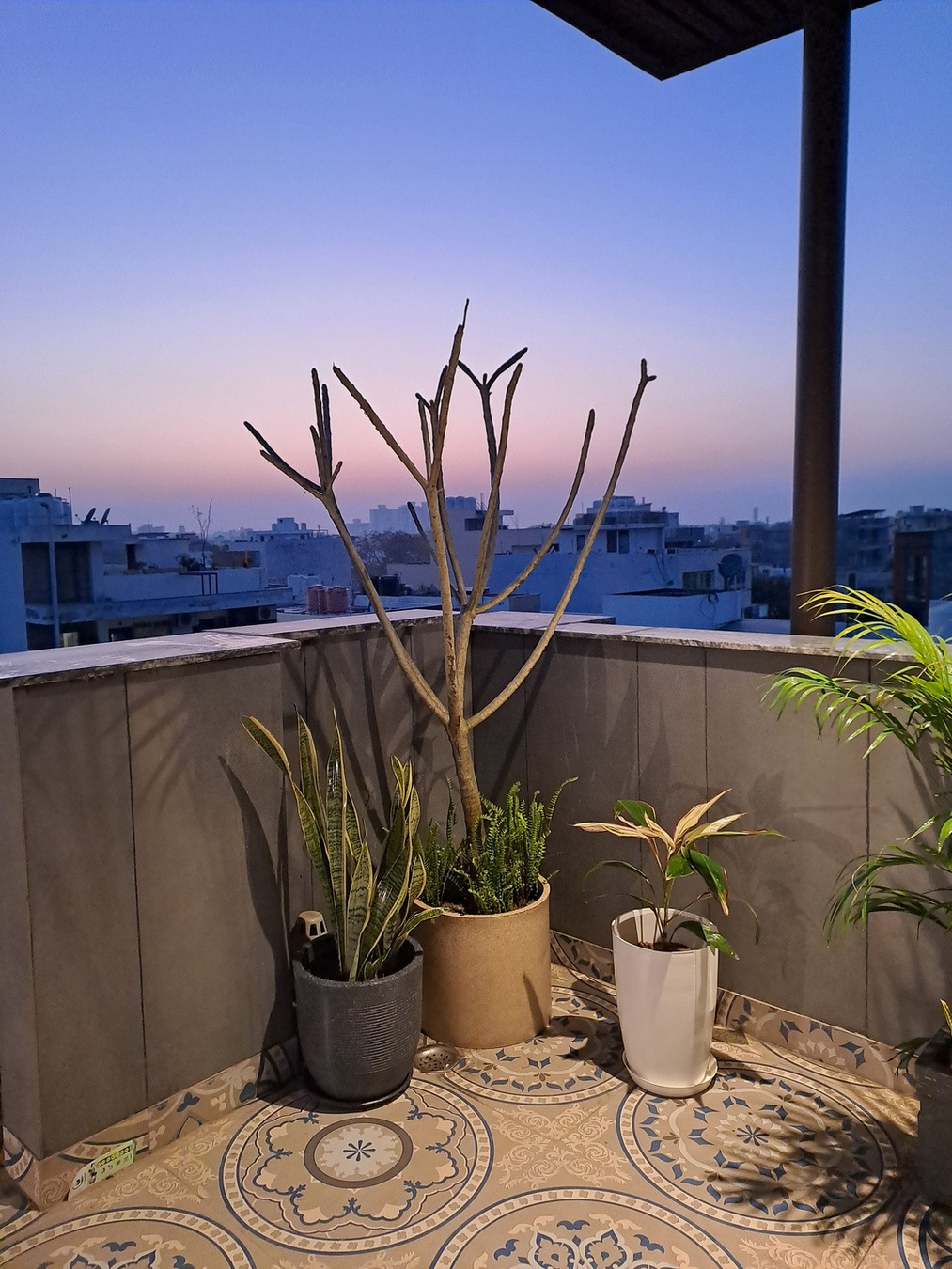 Rooftop Garden Oasis 5