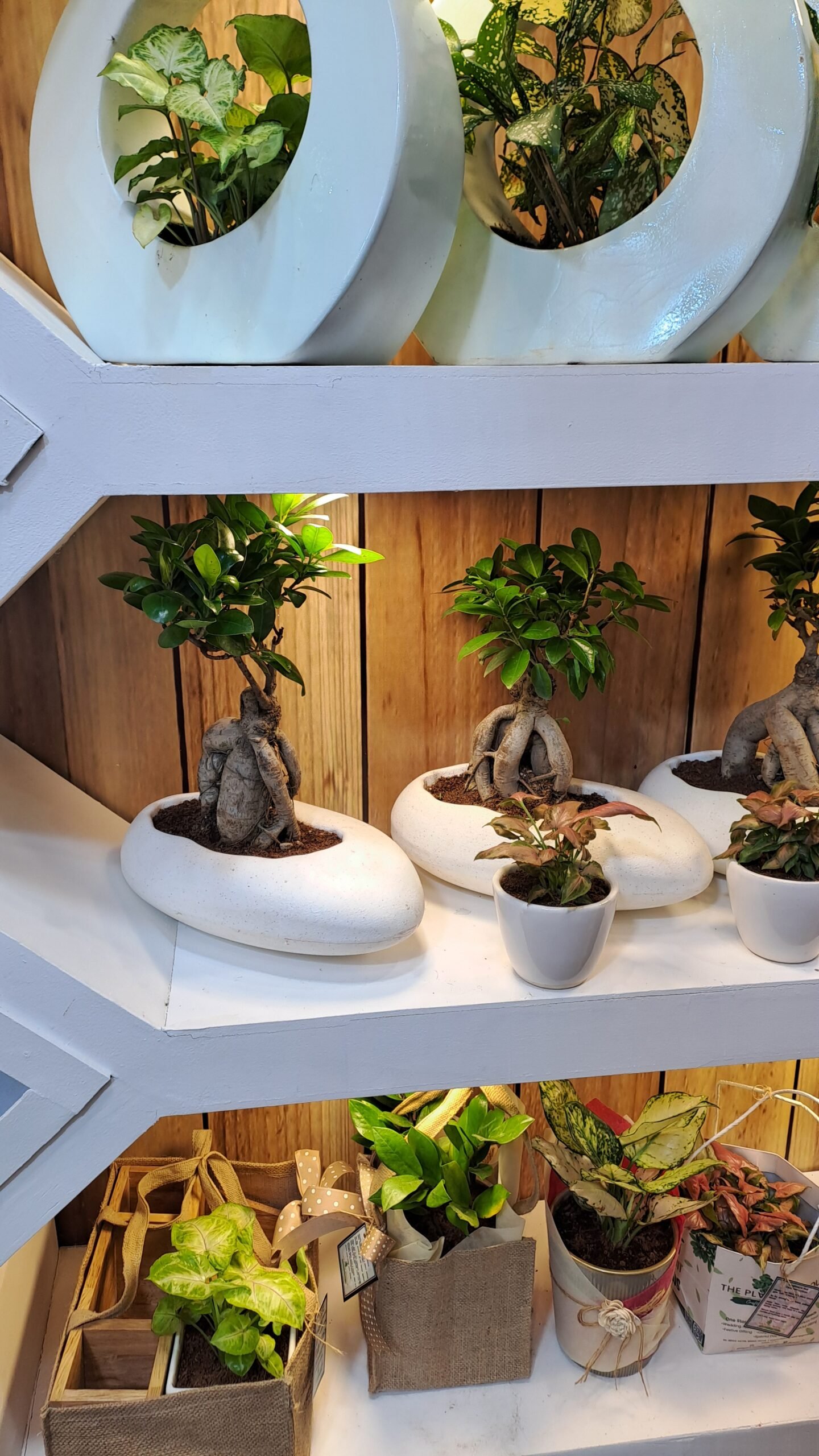 India's Premium Landscape Studio