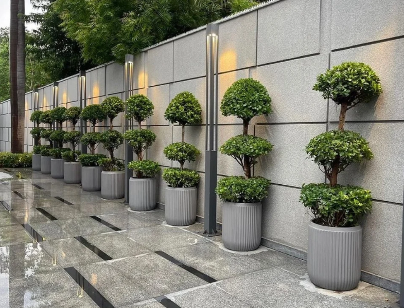 Zen Bonsai Design 9
