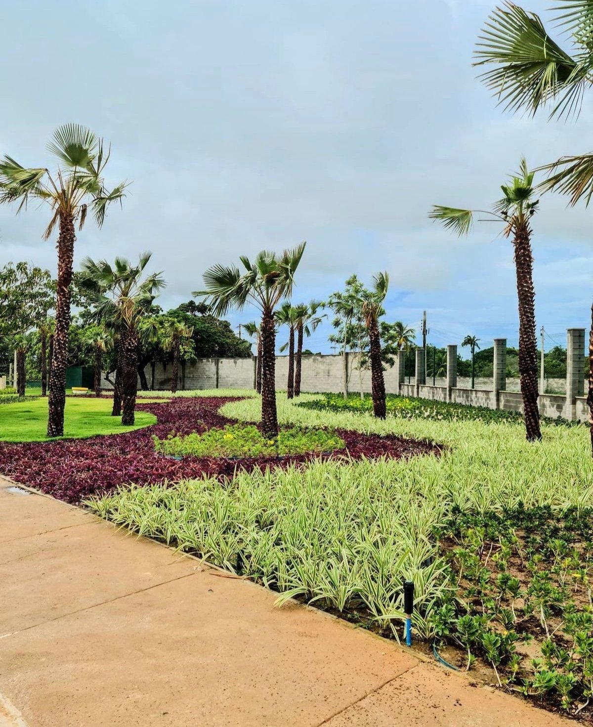 Premium Villa Landscaping 3