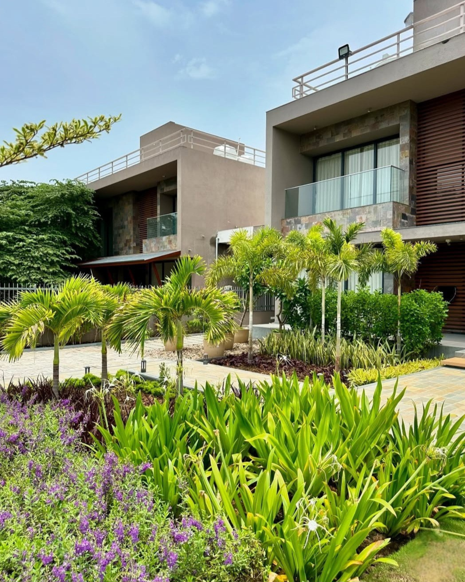 Corner Plant Styling