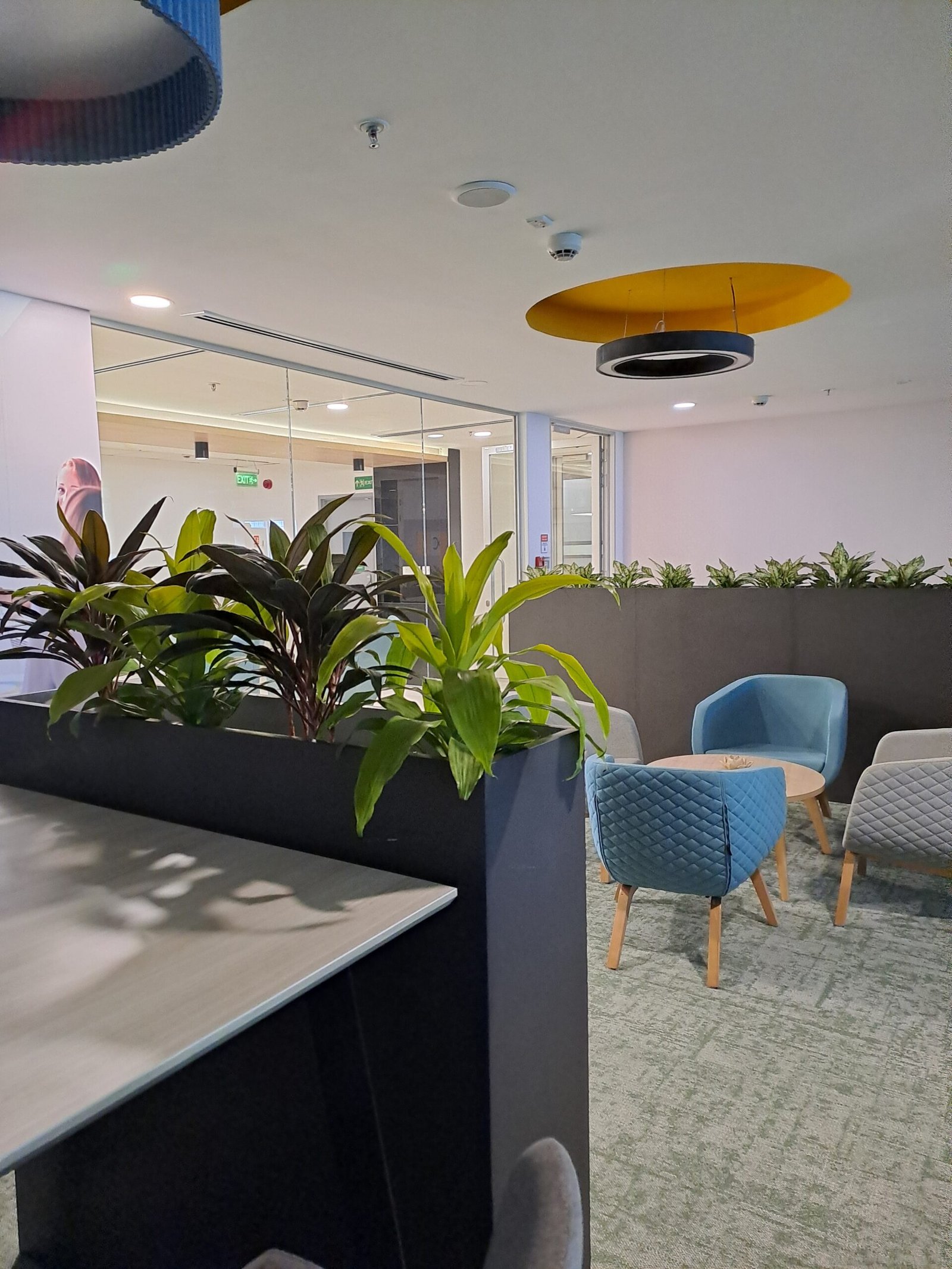 Biophilic Office Setup 2
