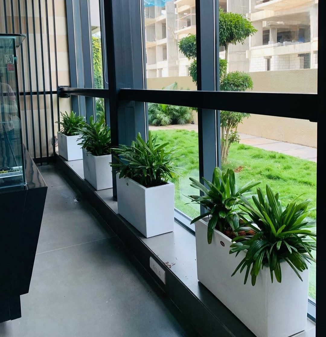 Biophilic Office Setup 5