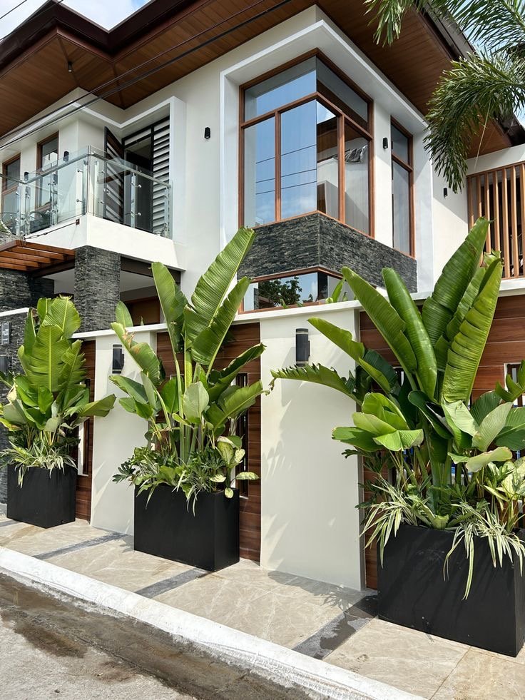 Ornamental Garden Planting 5