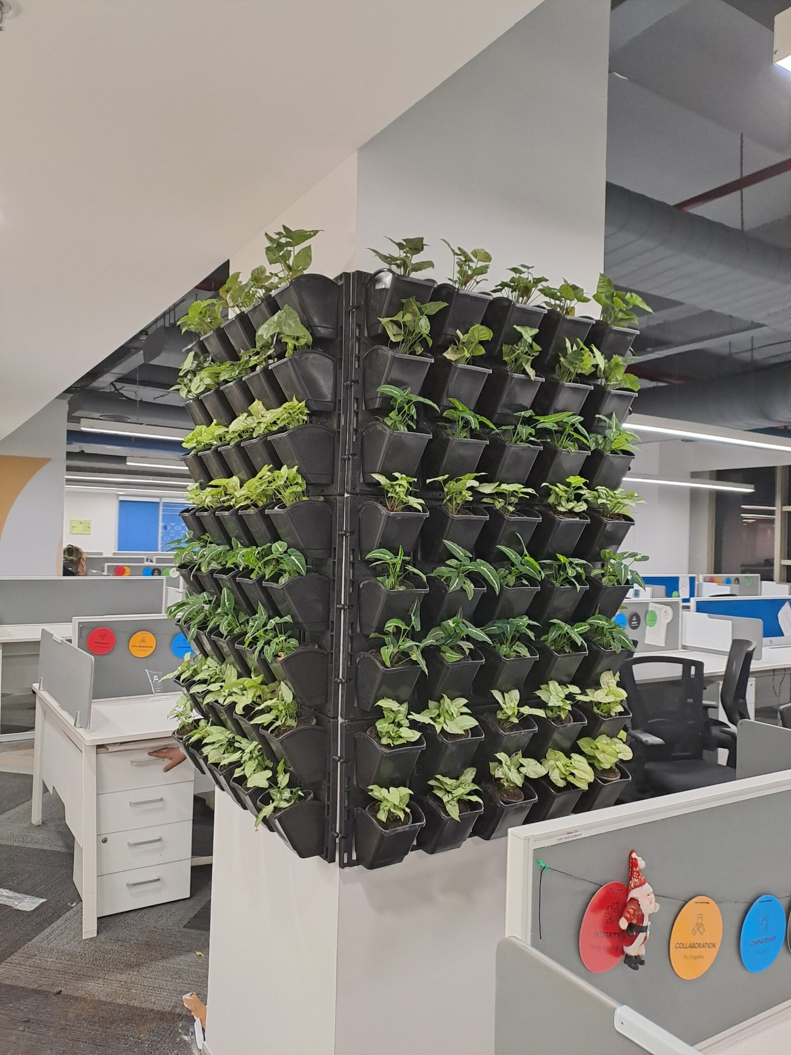 Transforming Dreams Into <em>Green Realities</em>