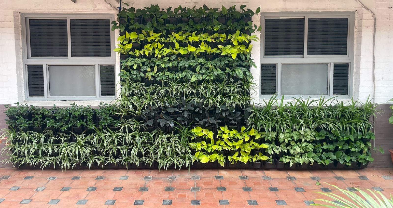 Aesthetic Living Wall 4